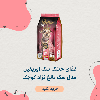 غذای خشک سگ اوریفین مدل سگ بالغ نژاد کوچک وزن 2 کیلوگرم