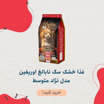 غذا خشک سگ نابالغ اوریفین مدل نژاد متوسط با طعم مرغ وزن 2 کیلوگرم