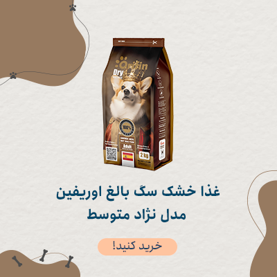 غذا خشک سگ بالغ اوریفین مدل نژاد متوسط با طعم مرغ وزن 2 کیلوگرم