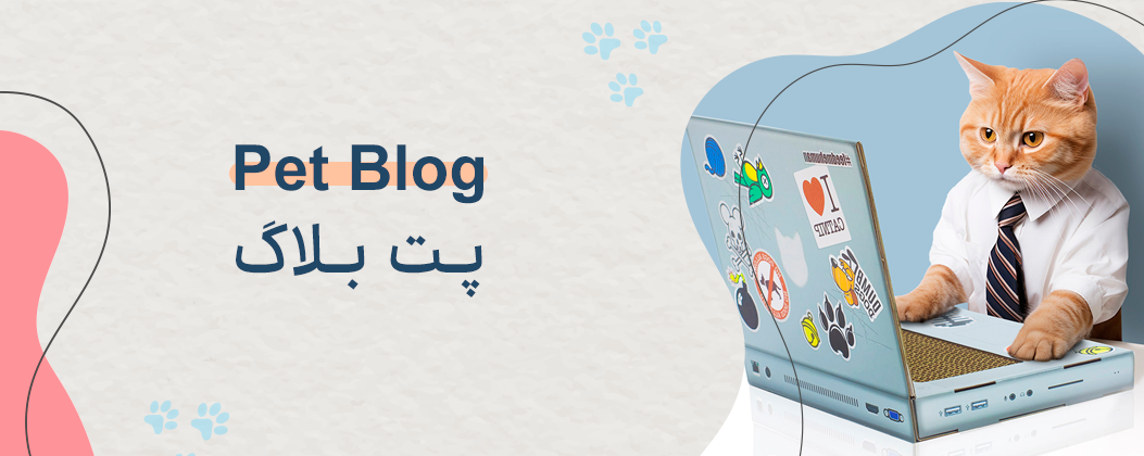 پت بلاگ