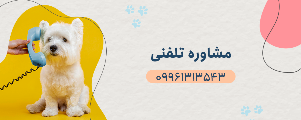 مشاوره تلفنی